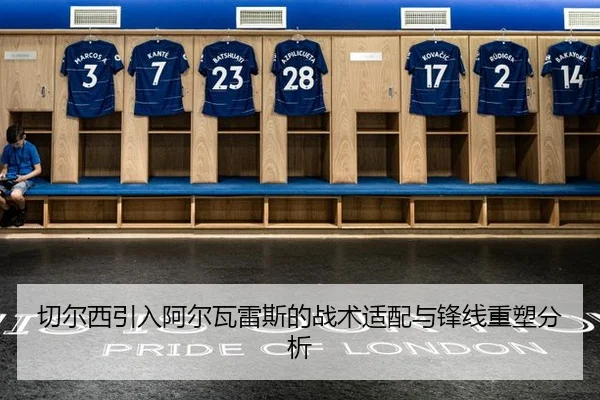 qie-er-xi-yin-ru-a-er-wa-lei-si-de-zhan-shu-shi-pei-yu-feng-xian-zhong-su-fen-xi-2-661.jpg